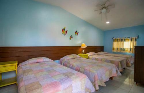 Jiutepec Apartamento | New Bamboo Quinta Maravilla