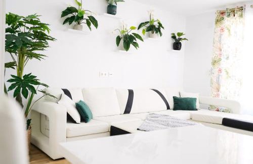 Benicarlo Apartamento | New Big City Center Apartment 4th floor no elevator