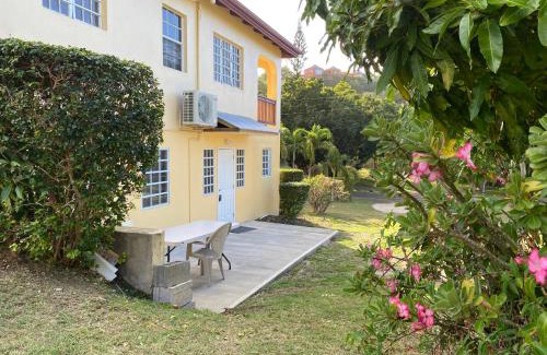 Estate Southgate Apartamento | New! Bluestone Getaway in Christiansted USVI !