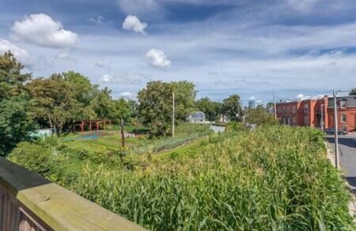 Dudley - Brunswick King Condominio | NEW! Boston Condo Near MBTA, 3 Mi to Fenway! (U2)