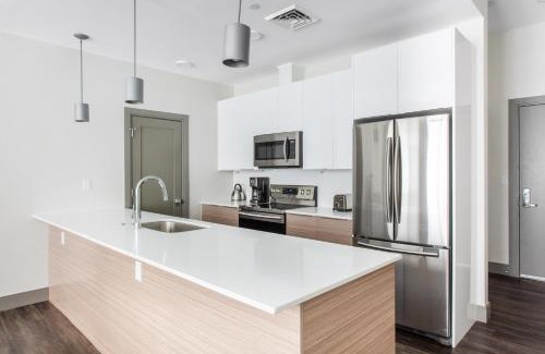 Somerville Apartamento | New build Sommerville 2BR w Rooftop WD in unit BOS-366