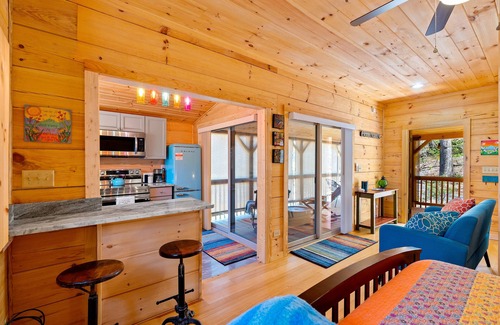 Swannanoa Cabina | NEW Cabin 15 min to Asheville with Blue Mountain Views!