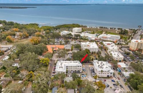 Safety Harbor Apartamento | NEW! Canopy Cabana - Luxury Downtown Apartment