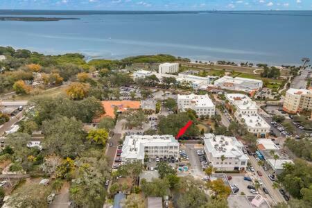 Safety Harbor Apartamento | NEW! Canopy Cove, Luxury Downtown Apartment Near Main St