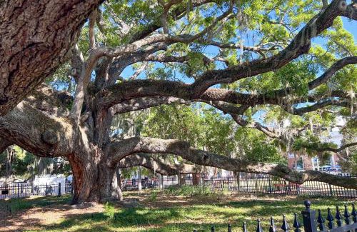 Safety Harbor Apartamento | NEW! Canopy Cove, Luxury Downtown Apartment Near Main St