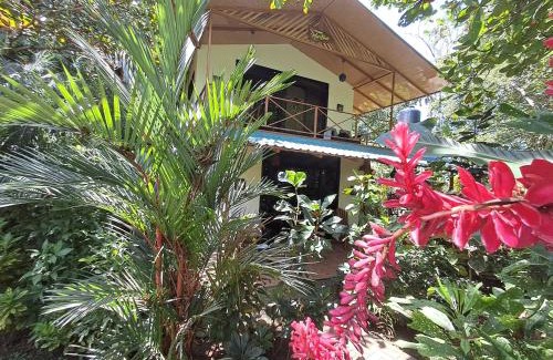 Cahuita Casa | New Caribe Point