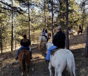 Lake George Chalet De Esquí | New! Charming cozy Cabin Colorado National Forest