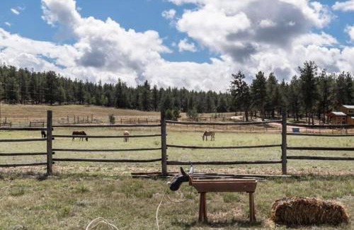 Lake George Chalet De Esquí | New! Charming cozy Cabin Colorado National Forest