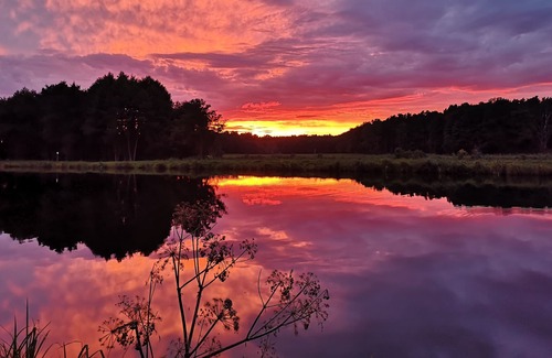 Oberhavel Casa | Nueva casa de vacaciones para familias directamente en el agua, el bosque y el carril bici