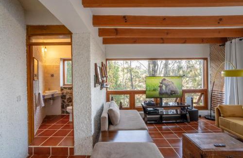 Cuernavaca Casa | New family house with pool jacuzzi and forest view