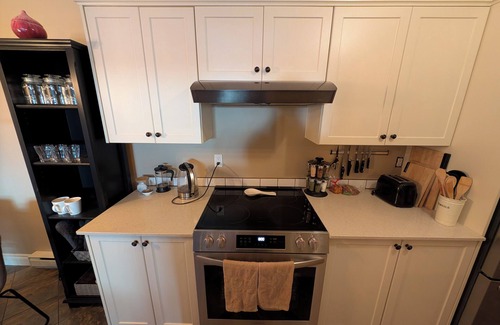 Hillside - Quadra - Downtown Blanshard Condominio | New, fully renovated, modern condo in the vibrant Quadra Village neighbourhood