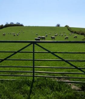 Meathop Casa | new house farm
