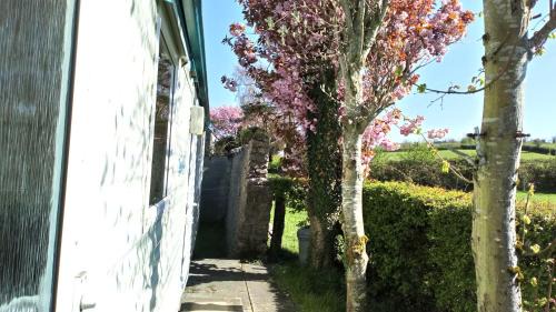 Meathop Casa | new house farm
