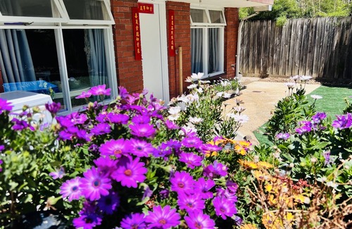 Burwood East Casa | New listing:Near deakin, tram station , kmart and coles Cozy brand new studio