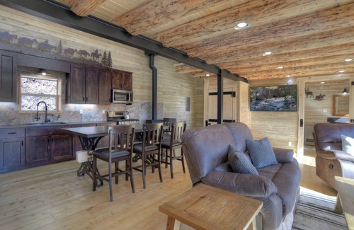 Creede Cabina | New Listing! Secluded Off-Grid Mountain Retreat-Pet-Friendly-National Forest