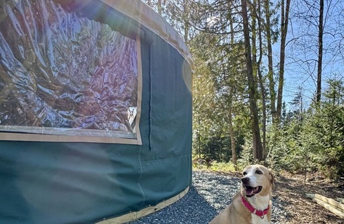 Bar Harbor Alquiler De RV | New luxurious 24’ yurt located in Bar Harbor, Maine with access to Northeast Creek