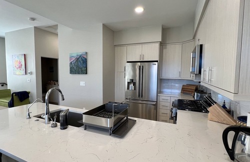 Carbondale Casa | New Luxury 3BR Townhome -Mt. Sopris View & Hot Tub
