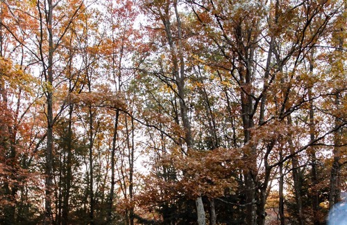Jim Thorpe Chalet De Esquí | *NEW* Luxury modern chalet on 10 Acres in the Pocono mountains