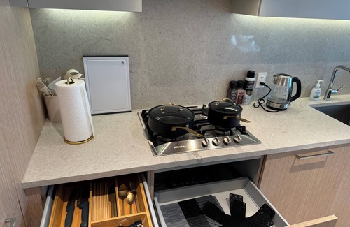 Golden Village Apartamento | New Modern Condo w/ Pool, Gym &free parking- Prime Richmond Location