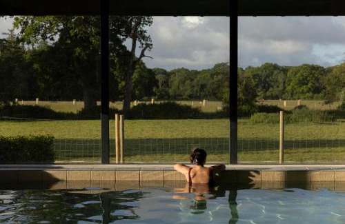 New Forest District Hotel | New Park Manor Hotel