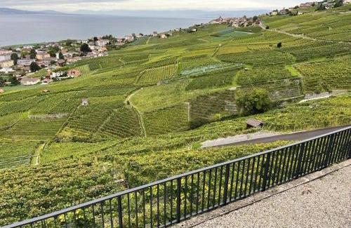 Cully Apartamento | New renovated studio with outstanding view