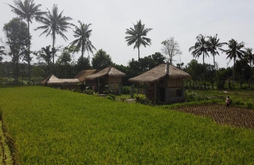 Kotaraja Casa | New Rinjani Bungalows