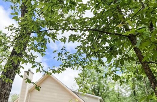 Forsyth Casa | NEW Riverfront 3 Bedroom Cabin NEAR Jackson Lake