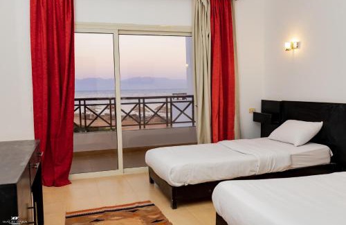 Dahab Hotel | new sea sun hotel