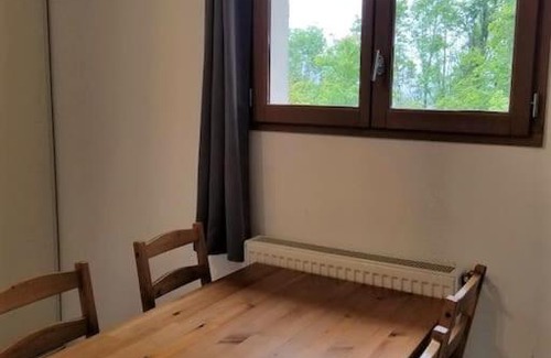 Chatillon-sur-Cluses Apartamento | New studio ground floor in the heart of nature