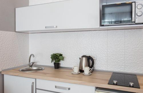 Petrovskoye Apartamento | New studio near metro Yaroslava Mudroho, Universytet - Chernyshevska str 95-1