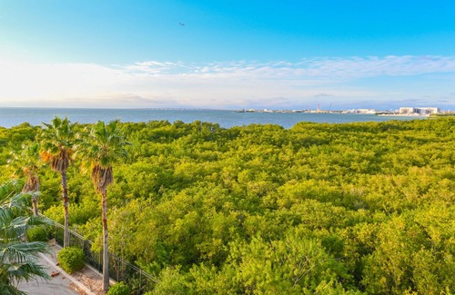 Port Tampa City Apartamento | *NEW* The Getaway- Dual suites, pool- South Tampa