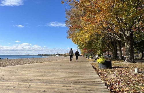 The Beaches Apartamento | Newly Available 3rd-Floor Suite with Beach & Lake Access