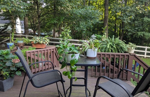 Midlothian Casa | Newly finished basement suite in Midlothian. Very clean and spacious.