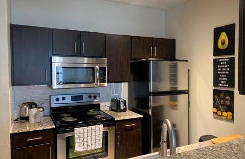 Riverside Terrace Apartamento | Newly Furnished 1BR Apartment w/Hermann Park View