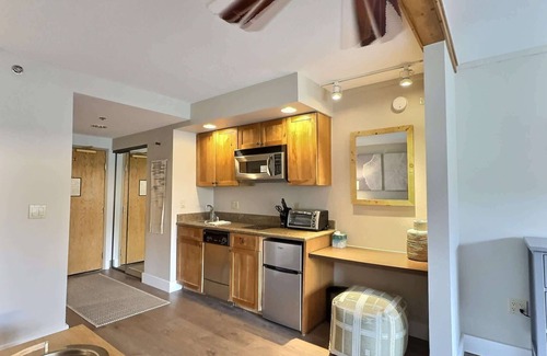 Crested Butte Condominio | Newly Remodeled studio! Pool, Hot Tub, Gym.