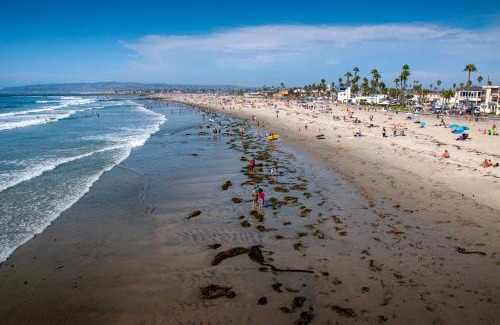 Ocean Beach Apartamento | Newly Renovated 3BR Modern Apt in Heart of Ocean Beach