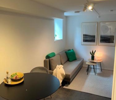 Oslo Apartamento | Newly renovated apartment close to city center