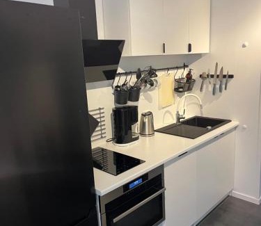 Oslo Apartamento | Newly renovated apartment close to city center