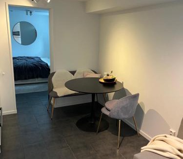 Oslo Apartamento | Newly renovated apartment close to city center
