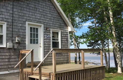 Harrington Cabina | Newly renovated Chickadee cabin on Harrington River, sleeps 4. Pet friendly