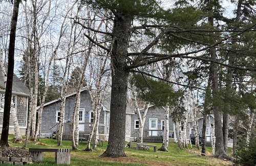 Harrington Cabina | Newly renovated Chickadee cabin on Harrington River, sleeps 4. Pet friendly