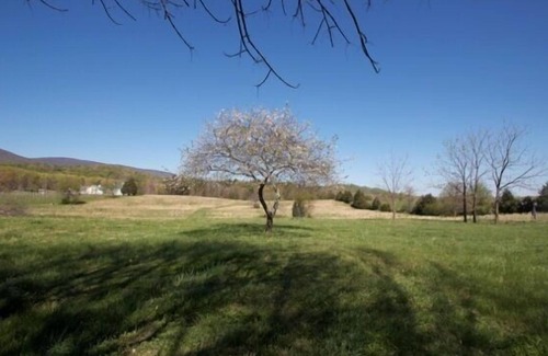 Afton Casa | Next Door de Veritas Vineyard Charlottesville-Afton Mountain Virginia