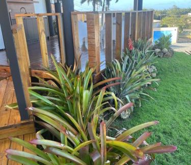 Camuy Complejo | Neymar Beach House