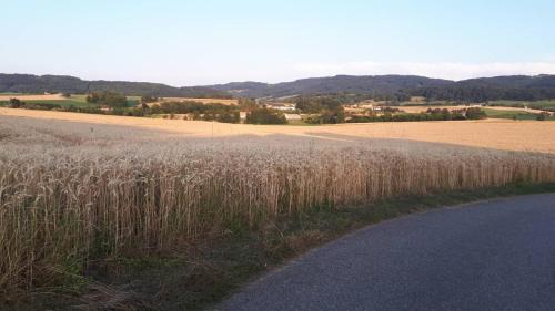 Kilb Casa | NF Alpenvorland