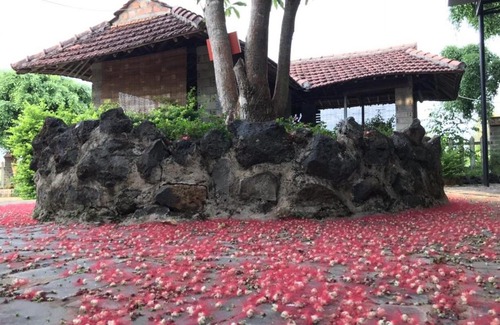 Pleiku Casa | NGÓI QUÊ Homestay