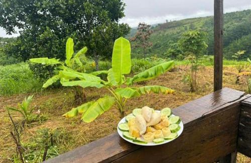 Dak Song Casa | Nhà của King
