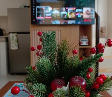 Legazpi Apartamento | Niana’s Place 2BR w Garden, Internet, Netflix