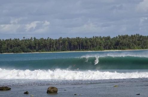 Nias Casa | Nias pro