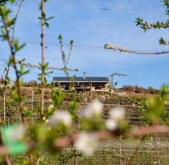 Uniondale Casa | Nicara Luxury Ecocabin Honeypunch