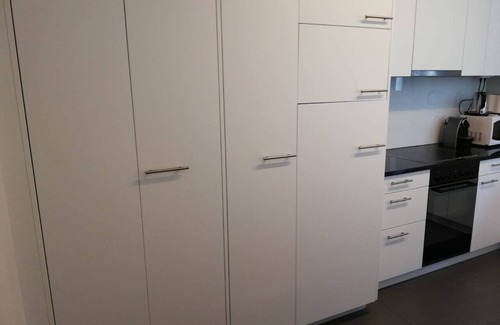 Enge Apartamento | Nice 2BD flat city center / near FIFA (Wille 2)
